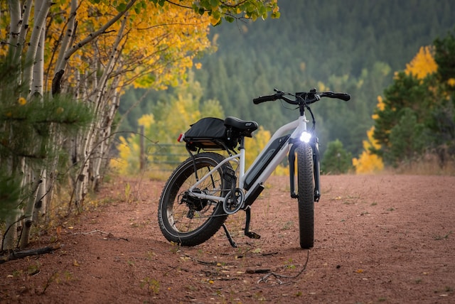 Le boom des vélos électriques : une alternative à la moto en ville